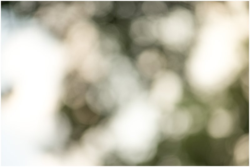 Marsel Roothman Photography - Johannesburg Wedding Photographer - Wedding Photographer_0604