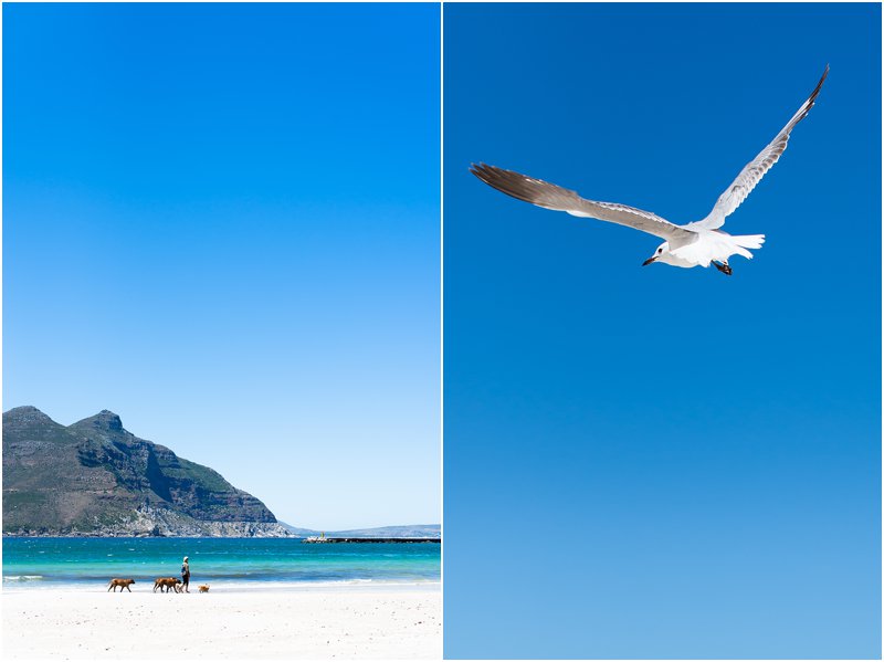 cape town western cape photographer_0959