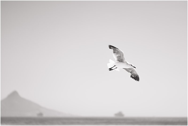 cape town western cape photographer_0971