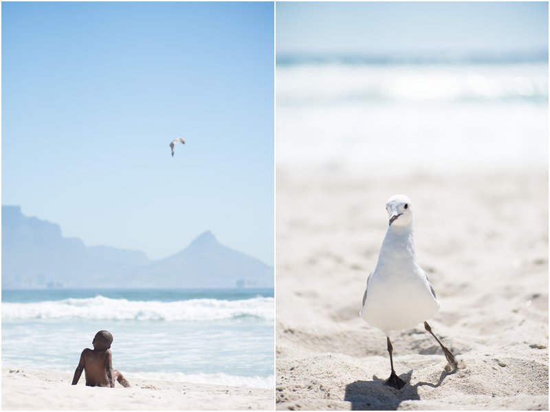 cape town western cape photographer_0973