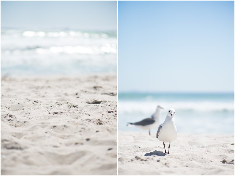 cape town western cape photographer_0974