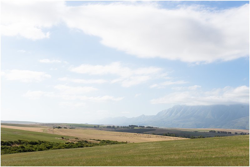 cape town western cape photographer_0977