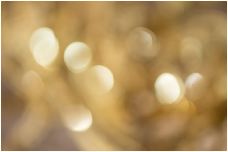 Styled shoot inpsiration concept shoot gold succulent neatral shoot Copyright Marsel Roothman 012