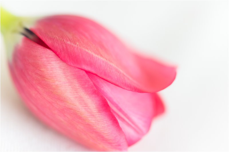 marsel roothman photography,kitchen tea inspiration, kitchen tea ideas, styled shoot_0136