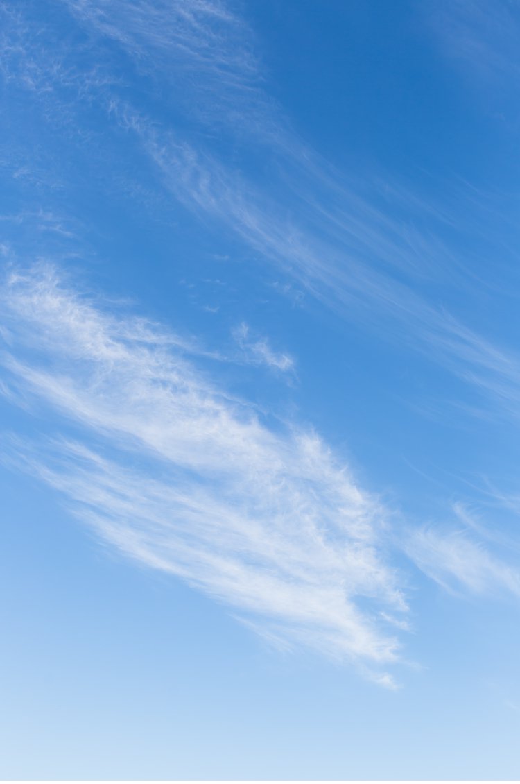 Cape Winelands Wedding, cape town wedding, brenaissance wedding, south african wedding photographer, frances & cobus, Fleur le Cordeur, Kraak Wedding Coordination, Vera Vang, Pronovias Wedding Dress, Marsel Roothman Photography_0052