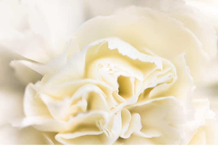 Oakfield farm wedding, Freda & Dewald wedding, Marsel Roothman Photography, South african wedding photographer_0023