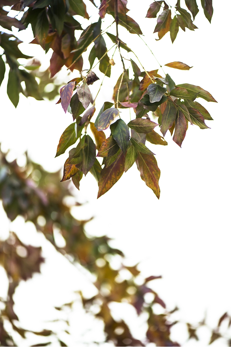 Oakfield farm wedding, Freda & Dewald wedding, Marsel Roothman Photography, South african wedding photographer_0048