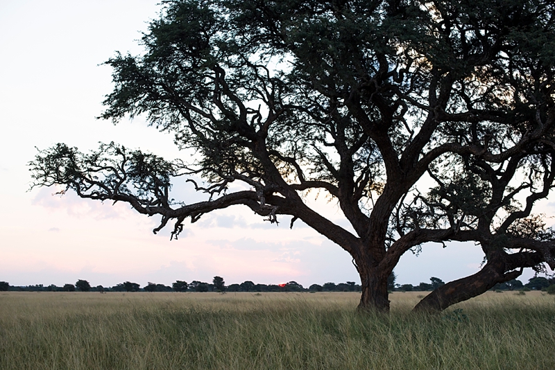 brent-lu-anne-south-african-wedding-photographer-marsel-roothman_0018