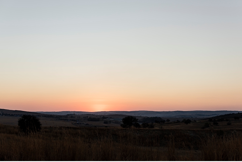 George & Trizel_0006