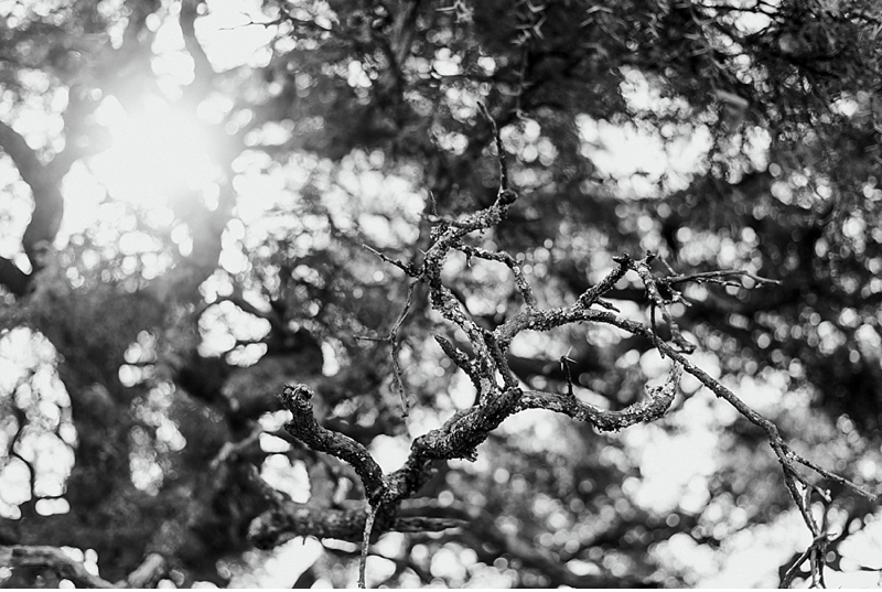 Nicole & Werner, Lunikhy Wedding, Marsel Roothman_0044